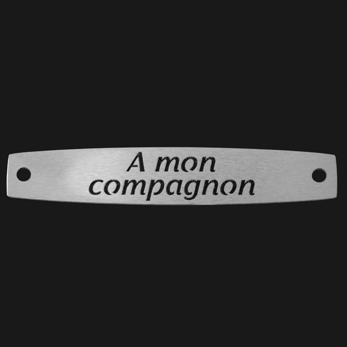 Inter Inox Plaque - A mon compagnon