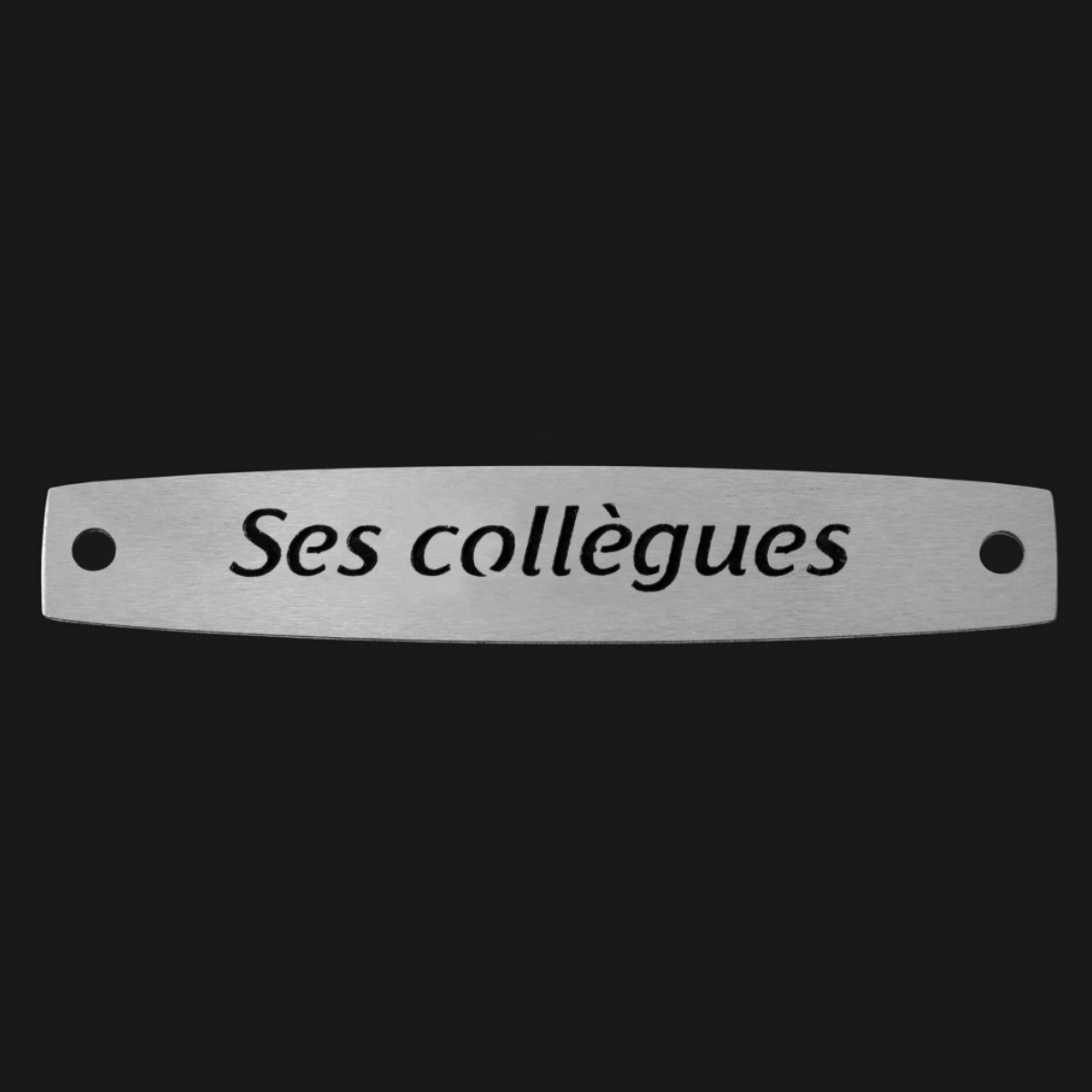 Inter Inox Plaque - Ses collègues